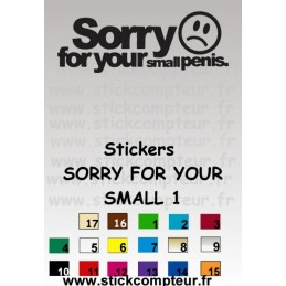 Stickers SORRY FOR YOUR 1  - 1