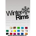 WINTER RIMSNO17  - 1